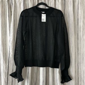 Sheer H & M with top ruffled sleeves 🖤